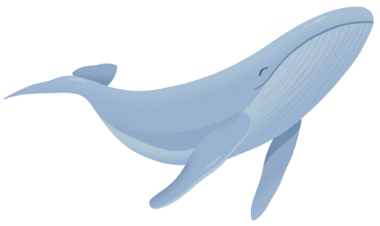 Illustration baleine Waïlo